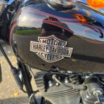Harley-Davidson FXCWC Rocker C